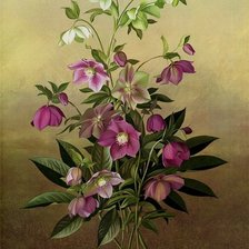 Cross stitch pattern: #920554