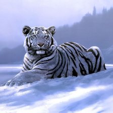 Cross stitch pattern: #920859