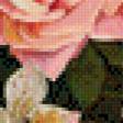 Preview of cross stitch pattern: #921304
