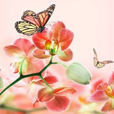 Cross stitch pattern: #921380