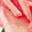 Preview of cross stitch pattern: #921382
