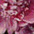 Preview of cross stitch pattern: #921710
