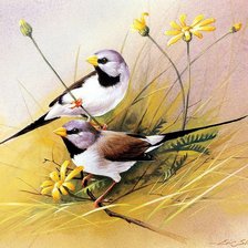 Cross stitch pattern: #922073