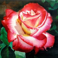 Cross stitch pattern: #922960