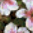 Preview of cross stitch pattern: #923342