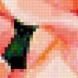 Preview of cross stitch pattern: #923389