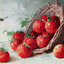Cross stitch pattern: #923557