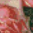 Preview of cross stitch pattern: #924210