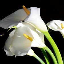 Cross stitch pattern: #924232