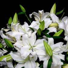 Cross stitch pattern: #924233