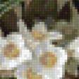 Preview of cross stitch pattern: #925052