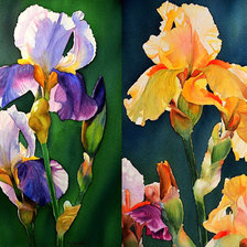 Cross stitch pattern: #925249