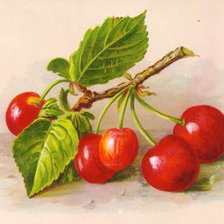 Cross stitch pattern: #925271