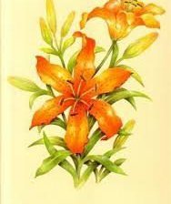 Cross stitch pattern: #925407