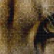 Preview of cross stitch pattern: #925505