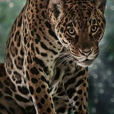 Cross stitch pattern: #925785