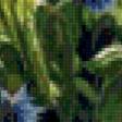Preview of cross stitch pattern: #926282