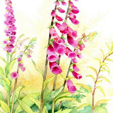 Cross stitch pattern: #926291