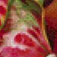 Preview of cross stitch pattern: #926514
