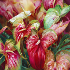 Cross stitch pattern: #926514