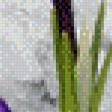 Preview of cross stitch pattern: #926736