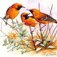 Cross stitch pattern: #926881