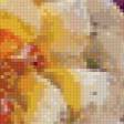 Preview of cross stitch pattern: #926901