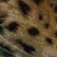 Preview of cross stitch pattern: #927185