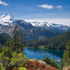 Cross stitch pattern: #927338