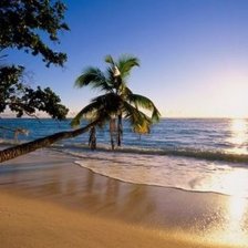 Cross stitch pattern: #927430