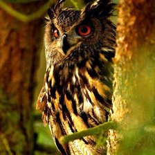 Cross stitch pattern: #927447