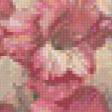 Preview of cross stitch pattern: #927912