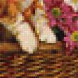 Preview of cross stitch pattern: #927919