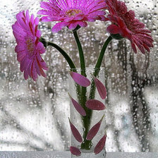 Cross stitch pattern: #928273