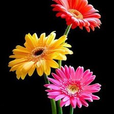 Cross stitch pattern: #928279