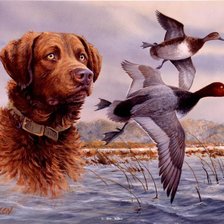 Cross stitch pattern: #928452