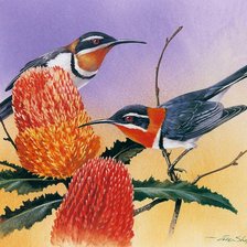 Cross stitch pattern: #928483