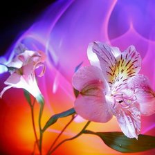 Cross stitch pattern: #929012