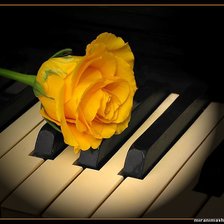 Cross stitch pattern: #929017