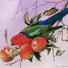 Cross stitch pattern: #929032