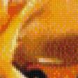 Preview of cross stitch pattern: #929088