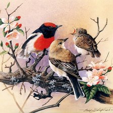 Cross stitch pattern: #929452