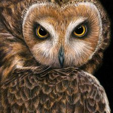 Cross stitch pattern: #929462
