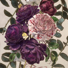 Cross stitch pattern: #929504