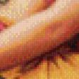 Preview of cross stitch pattern: #929523