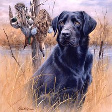 Cross stitch pattern: #929532