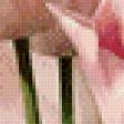 Preview of cross stitch pattern: #929541