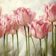 Cross stitch pattern: #929541