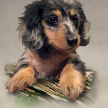 Cross stitch pattern: #929557
