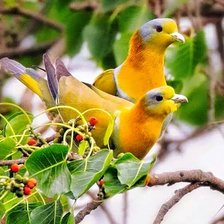 Cross stitch pattern: #930140